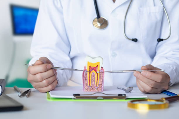 Best Emergency Wisdom Tooth Extraction in Lakewood, NY